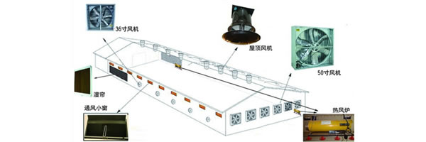 Sistema de ventilación de equipos avícolas 